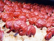 pecsétviaszgomba
